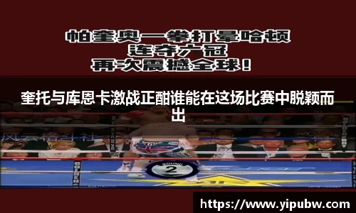 bsports官网入口